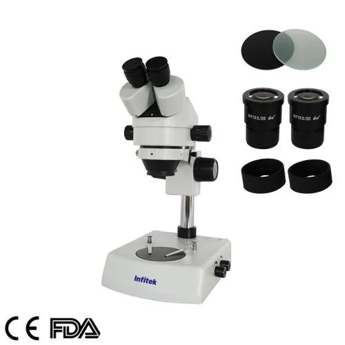 Stereo Microscope
