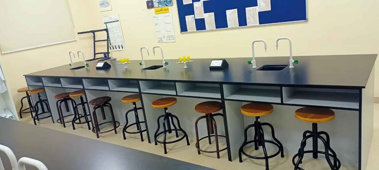 Lab Image 2
